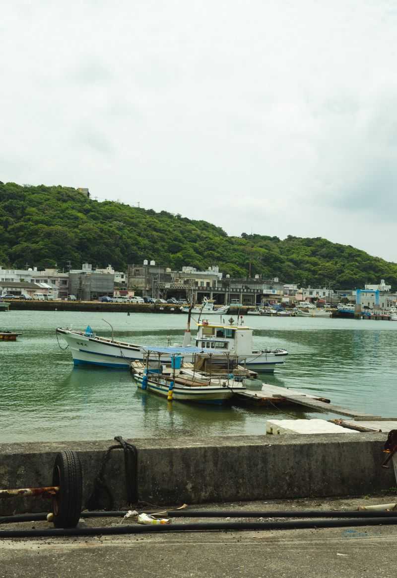 Fishing boats moored at a harbor dock with a coastal town and green hills behind