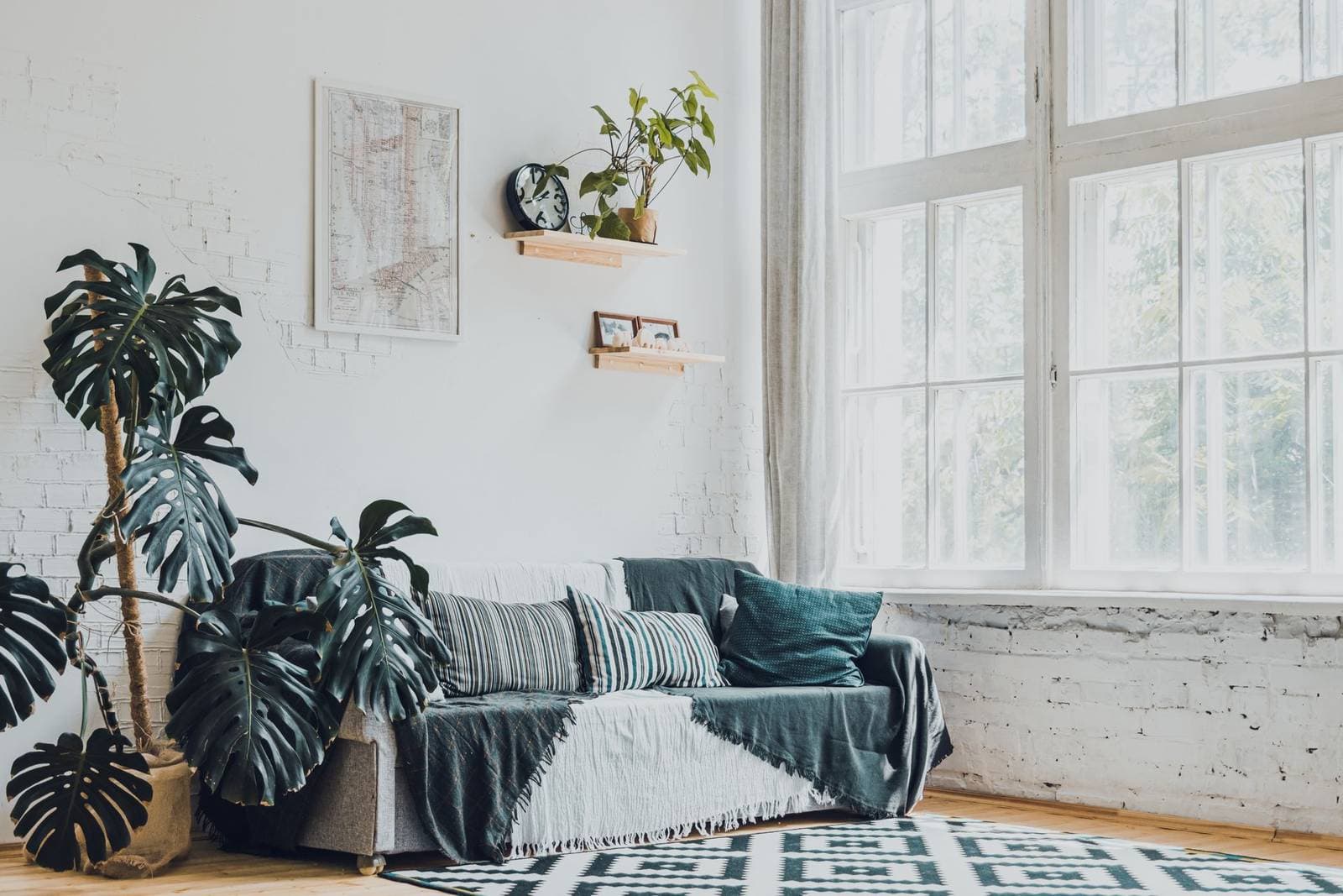 Compact apartment living room with a grey sofa, a large monstera, and a framed print on the wall by tall windows.