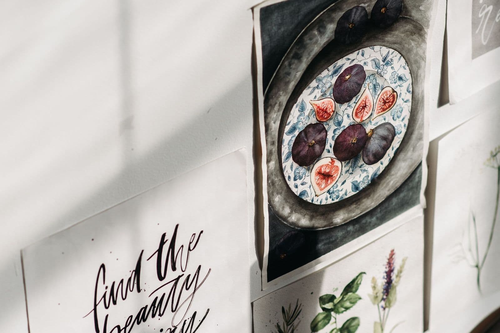 An assortment of unframed prints — calligraphy, a fig still life and botanical studies — pinned to a sunlit white wall.