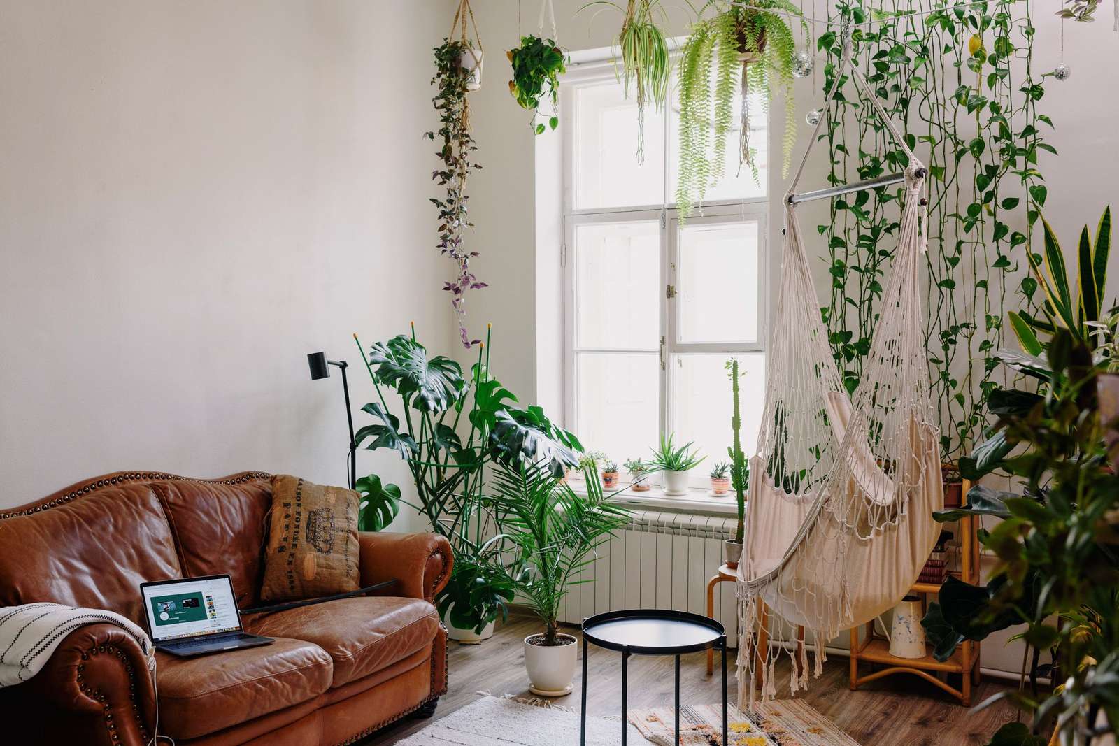 A bohemian living room with a macramé hammock chair, trailing hanging plants and a worn brown leather sofa beside a tall window