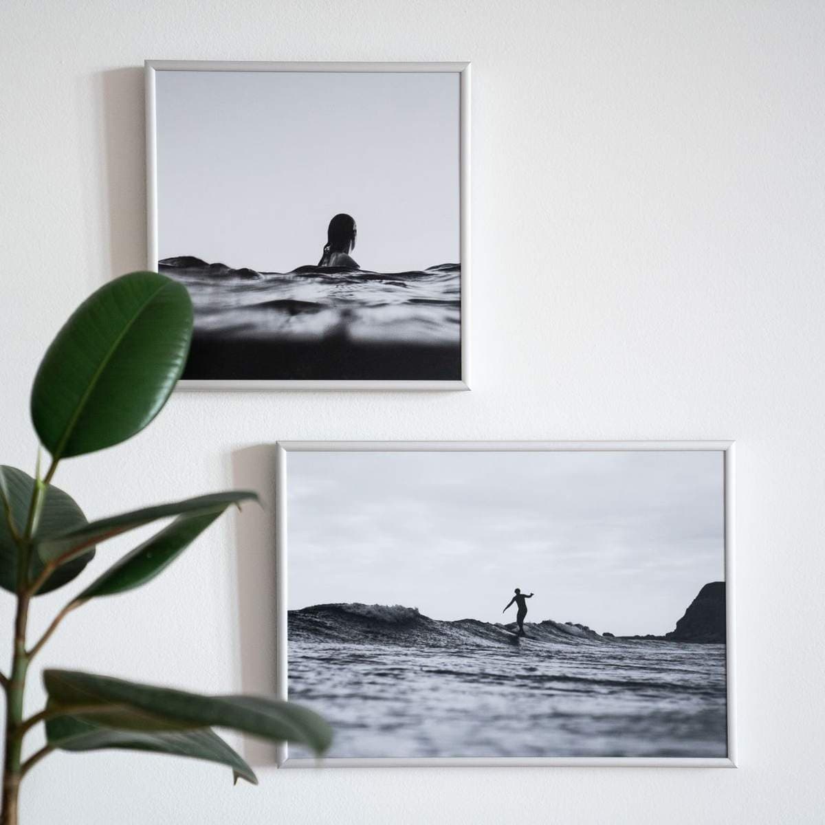 Two black-and-white framed photographs in matching white frames hanging on a white wall beside a houseplant
