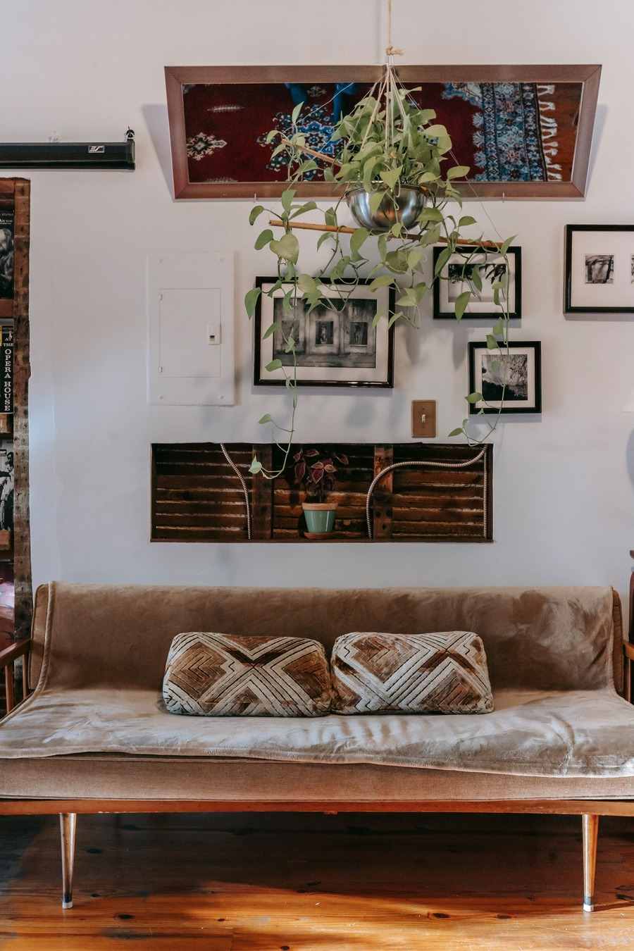 Framed black-and-white pictures hanging on a living room wall above a tan sofa with patterned cushions and a hanging plant