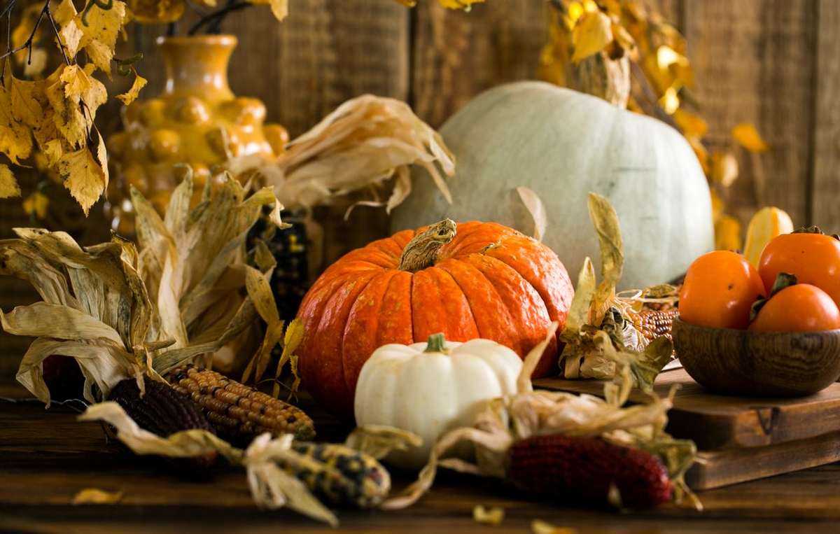 Harvest still life of orange and white pumpkins, ornamental corn and persimmons arranged on a wooden table