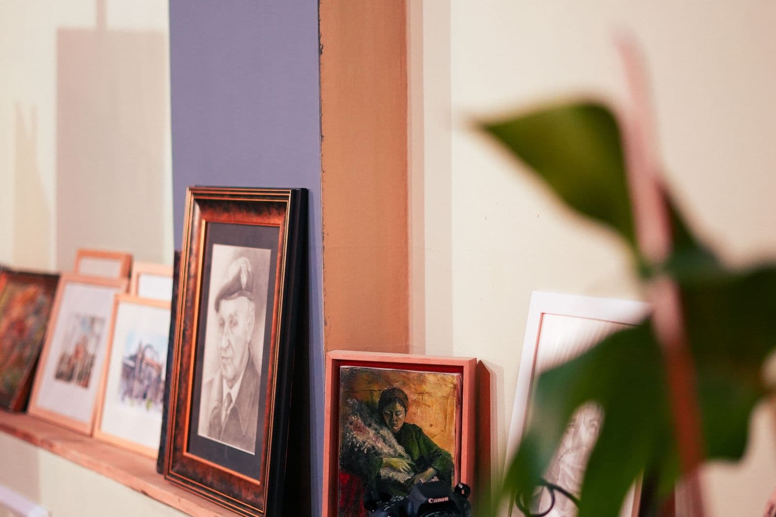 Framed portraits and prints leaning along a picture ledge, with a camera and a leafy houseplant in the foreground.