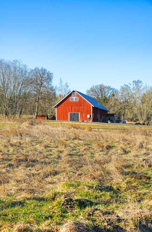 Red barn standing in a dry grass field with bare trees under a blue sky