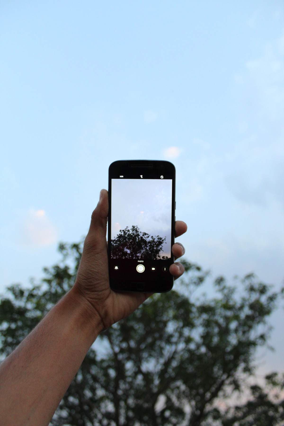 Hand holding a smartphone up to photograph trees against a blue sky